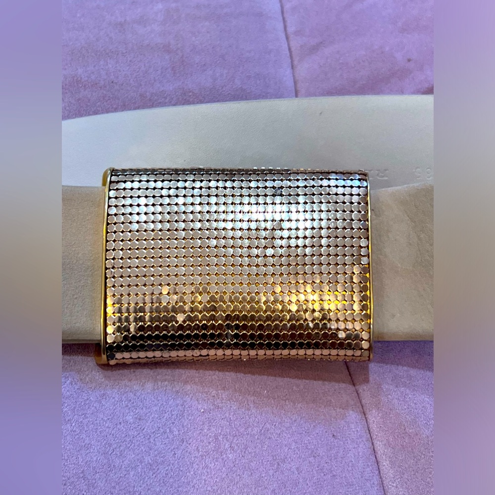 Rene Lezard Elegant Belt w/Gold Mesh